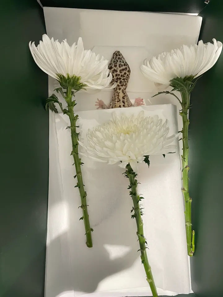 미니원 보호자 후기 이미지